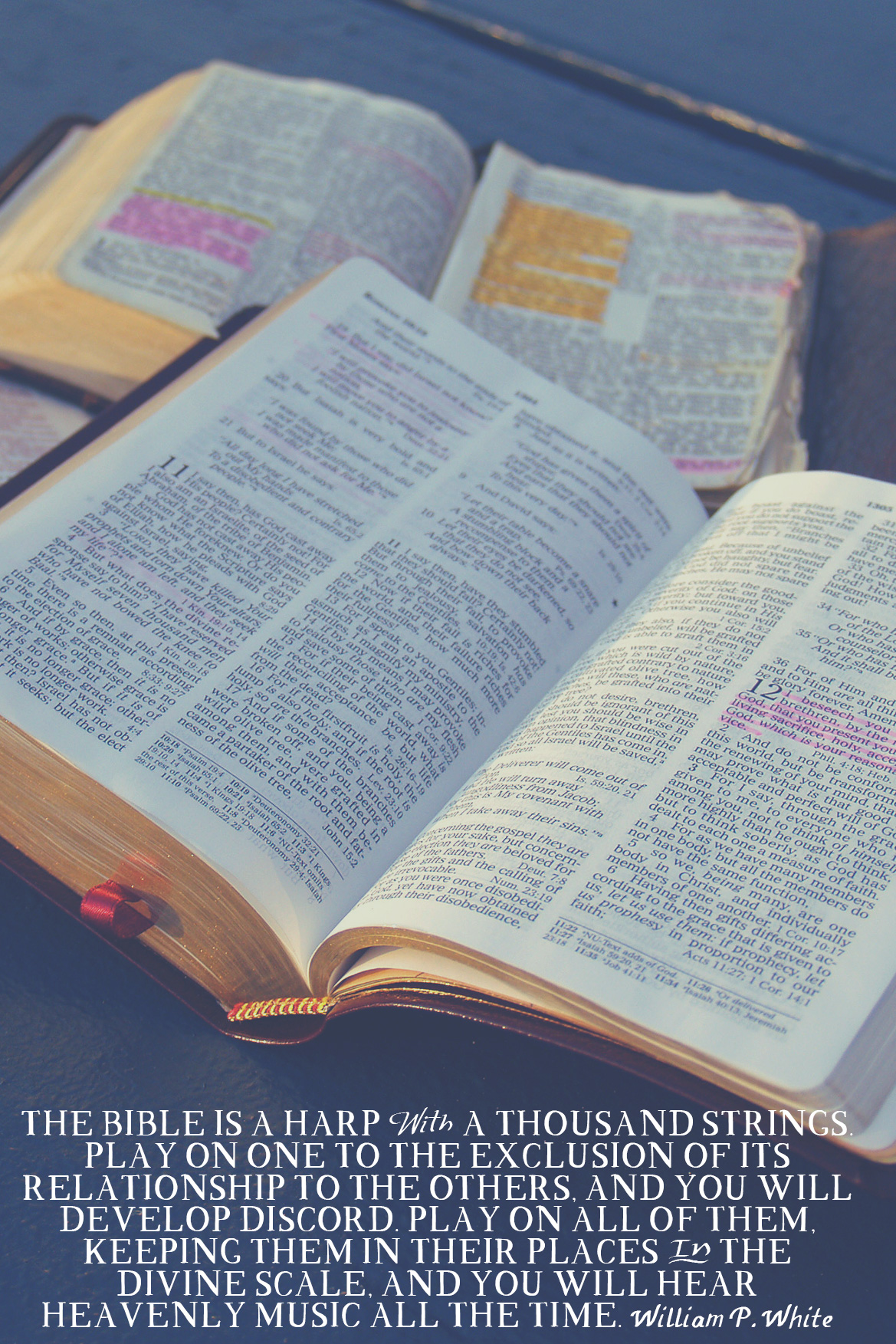 DECIPHERING BIBLE TRANSLATIONS - New Identity Magazine