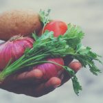 INSIGHTS FROM A CHRISTIAN VEGETARIAN