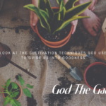 God The Gardener